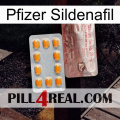 Pfizer Sildenafil new13